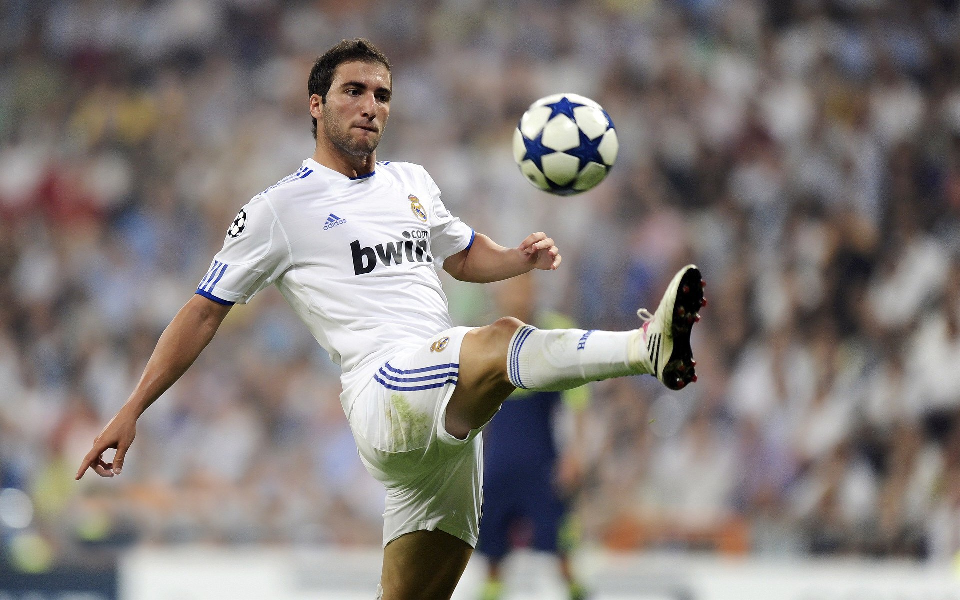 霍芬海姆12拜仁慕尼黑